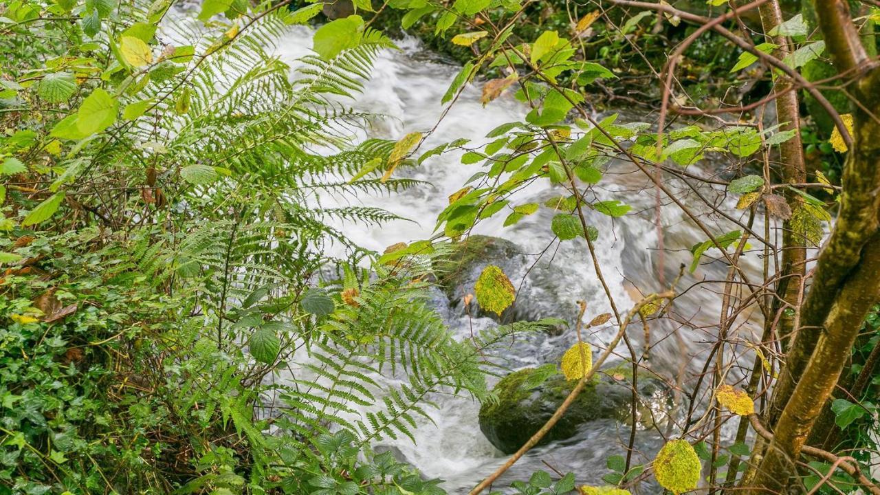 Вилла Cuddfan Лланберис Экстерьер фото
